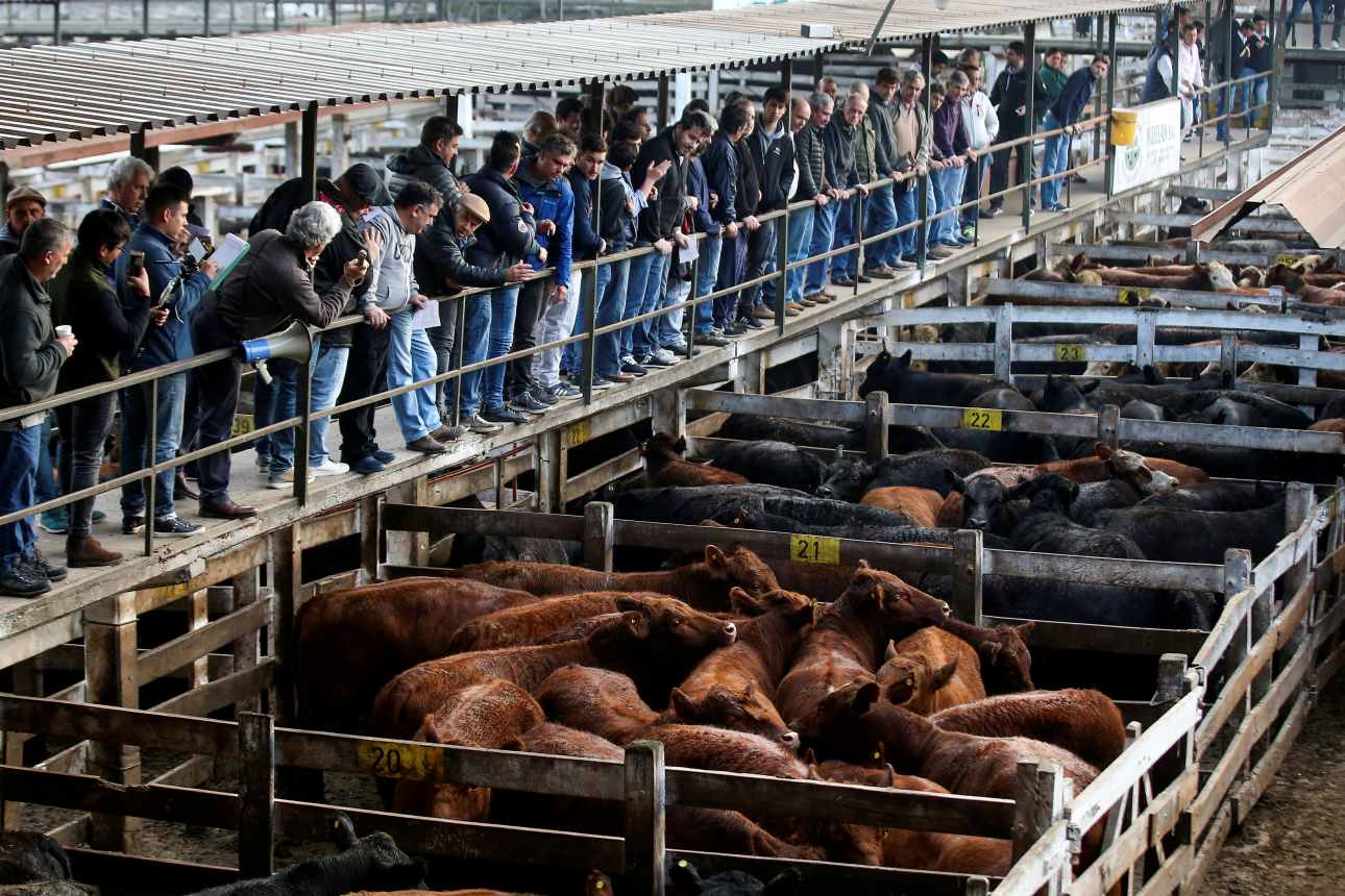 Eláraszthatják boltjainkat a környezetkárosító módon előállított brazil hústermékek