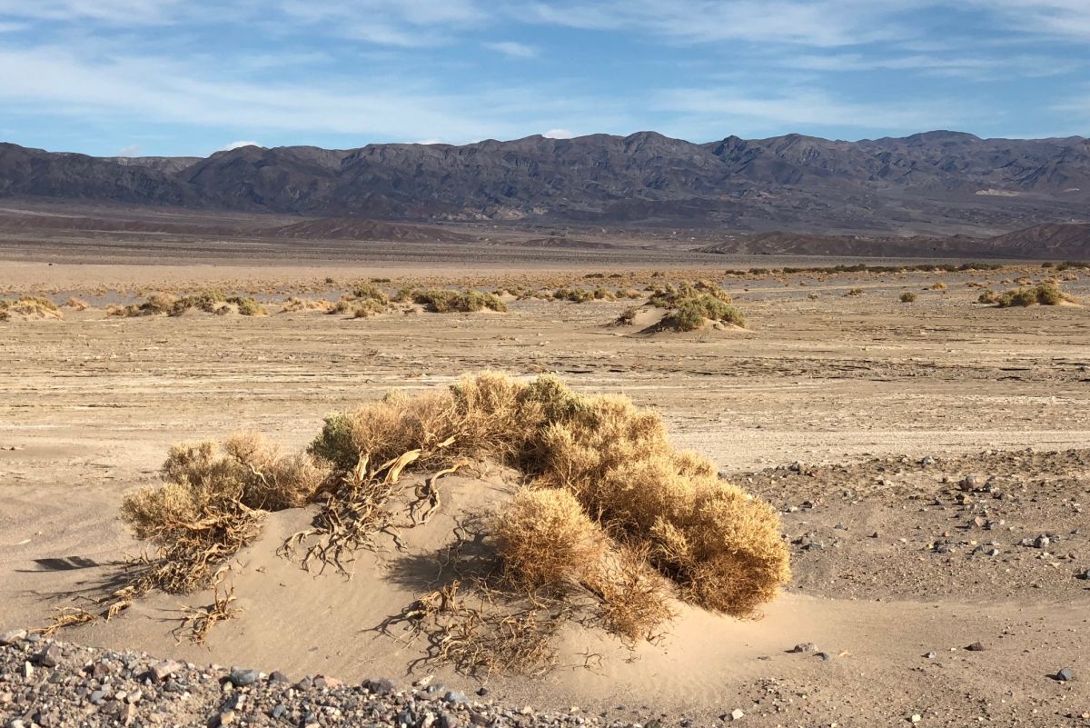Megdőlt a valaha mért legmagasabb hőmérséklet rekordja a Halál-völgyben